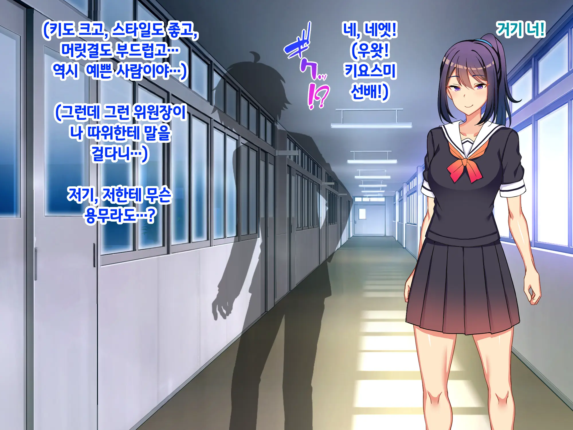 Sou Seisen Hime Holy Knights, Sennou Kaizou Songen Hakai, Seigi No Henshin Hiroin Ga Ganimata Pose De Machi O Osou Hentai Buzama Kaijin Ni Naru Made